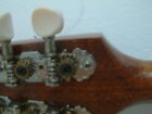 Picture 9 of 9