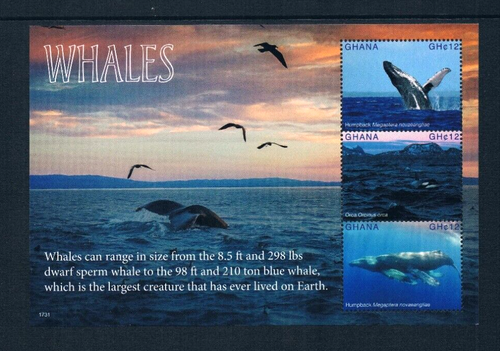 1/3 off $25.75 Scott Value - 2017 GHANA Whales 2 s/s West African CV MNH NH UMM - Picture 4 of 6