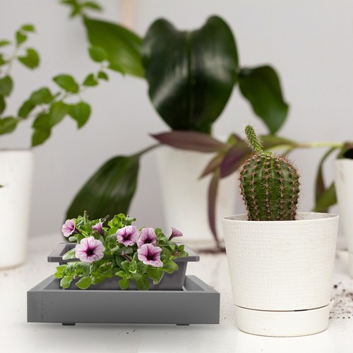 Flowerpot Holder Tray Plastic Reusable Planter Tray Plant Saucer Flower Pot - 第 2/12 張圖片