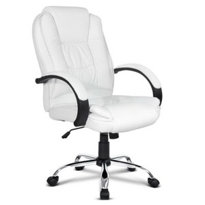 Details About Pu Leather Padded Office Desk Computer Chair White Details About Pu Leather Padded Office Desk Computer Chair White