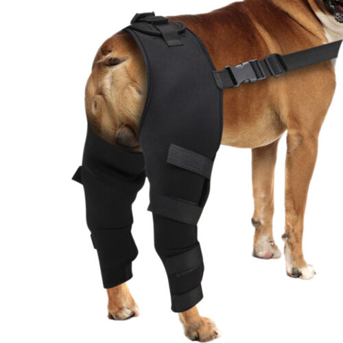 1 Pair Dog Knee Brace Dog Braces For Back Leg Support Dog Knee Support Sleeve