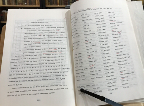 1976 Reconstruction of Porto-Tsouic Phonology-SCARCE - Picture 12 of 15