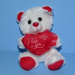 teddy bear with red heart