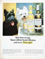 Buchanan’s Black & White Scotch Whisky Scottie Westie Dogs 1964 Vtg Mag Print Ad