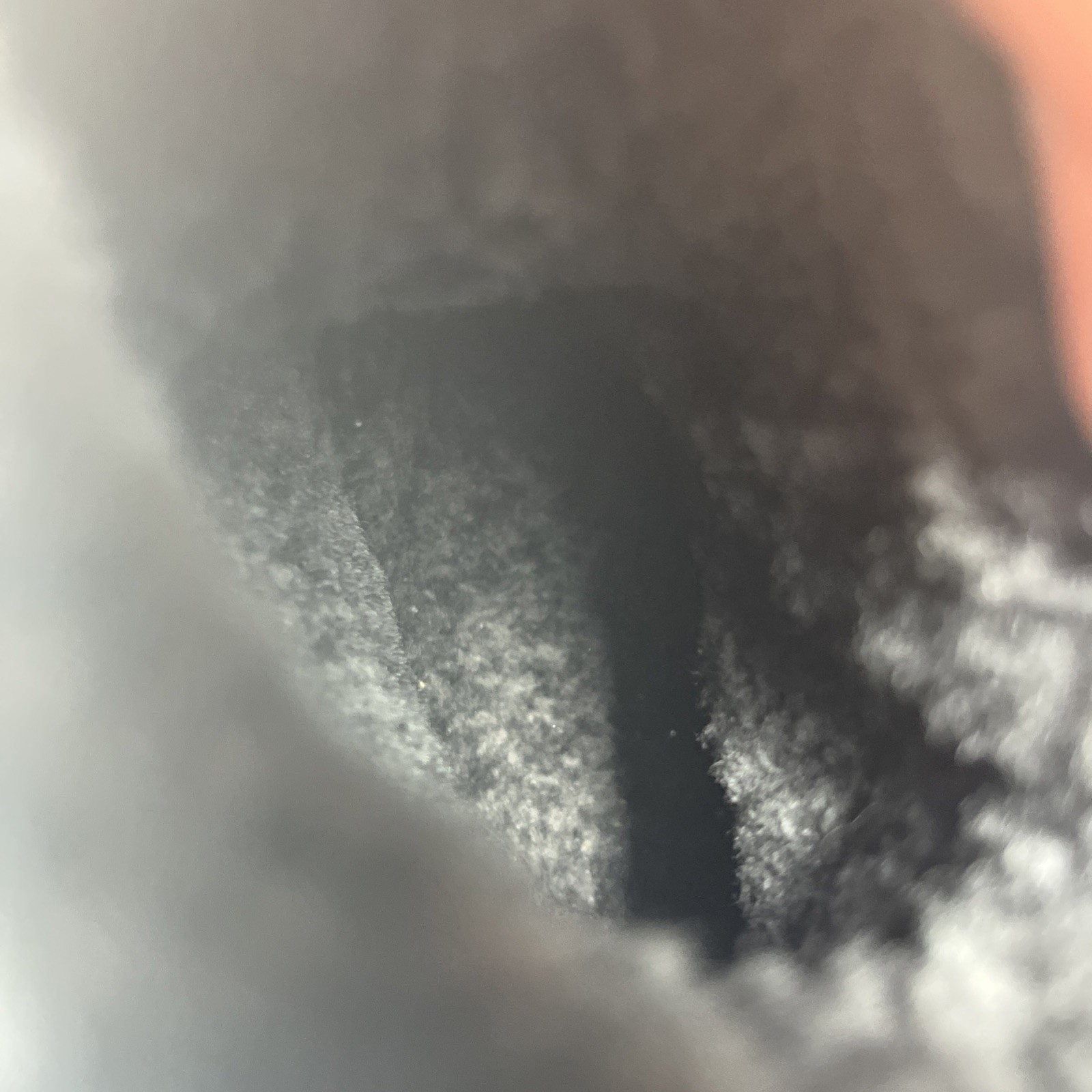 Picture 6 of 10
