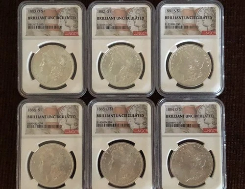SIX Morgan Silver Dollars NGC
