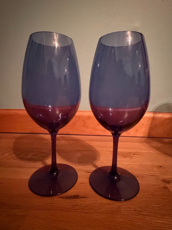 Pier 1 Imports Clarity Navy Blue Acrylic Wine Glass Set of 2