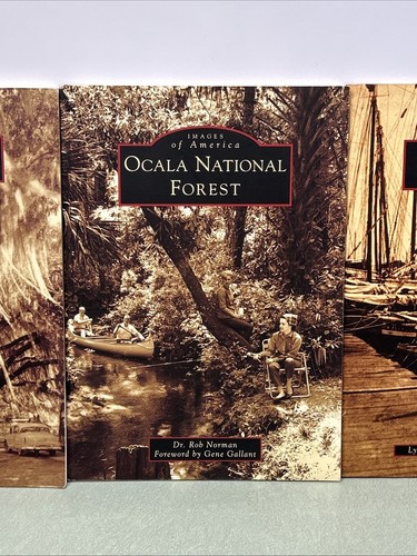 4 Images of America Books Florida Floral City Key West Ocala National Forest - Picture 3 of 16