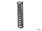 Engine Timing Belt Tensioner Spring-Genuine Engine Timing Belt Tensioner Spring