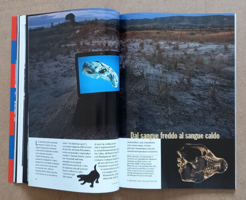 RIVISTA NATIONAL GEOGRAPHIC ITALIA n.2 Agosto 2000 Olimpiadi Sydney Angkor Zulu - Picture 8 of 10