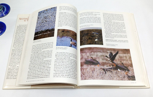 VINTAGE THE SPORTSMAN'S GUIDE TO TEXAS Bartlett Krieger 1988 Hunting & Fishing - Imagen 4 de 10