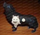 Picture 4 of 10