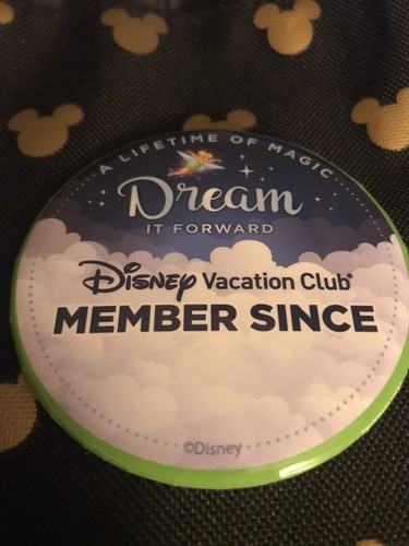 Disney Vacation Club DVC Member Authentic Oval Magnet & Two Member Pins NEW - Picture 3 of 5