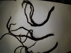 Picture 6 of 8