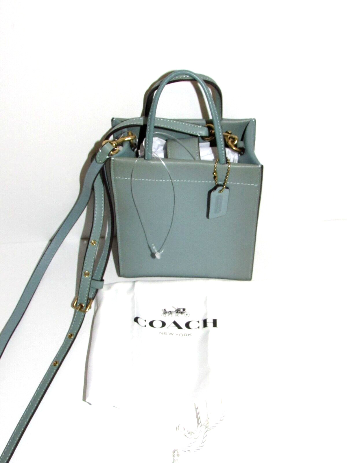 Сумка-тоут Coach Mini Cashin Tote Sage из дубленой кожи через плечо в перчатках Sage $250 MSRP