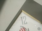 Picture 4 of 12