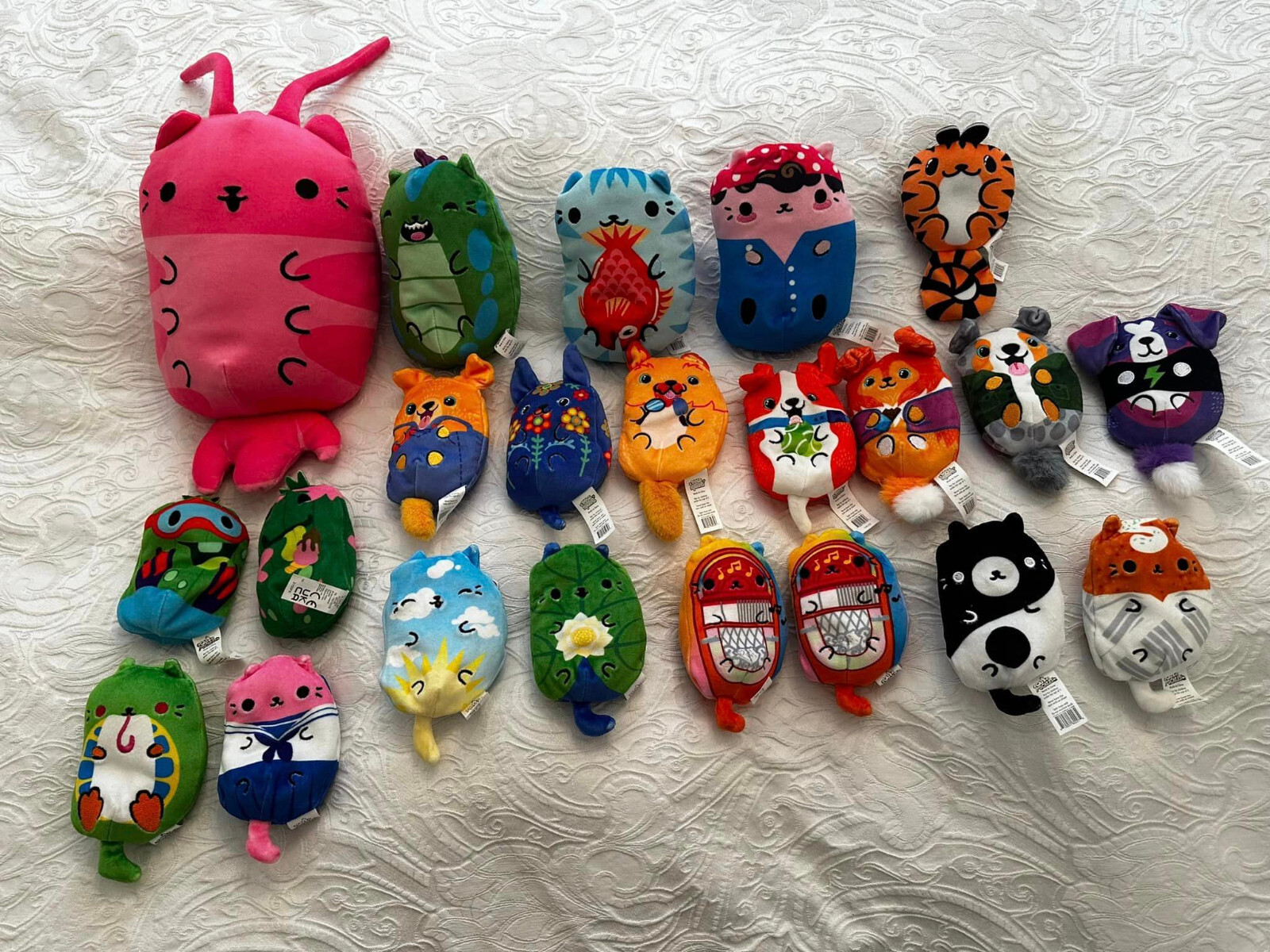 CATS VS PICKLES & DOGS VS SQUIRLS BUNDLE X 22 PLUSHIES! eBay