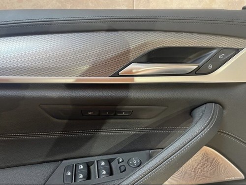 BMW SERIE 5 PANEL M G30 G31 PUERTA CONDUCTOR DELANTERA IZQUIERDA. - Imagen 2 de 8