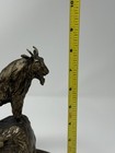 Foto 9 di 11