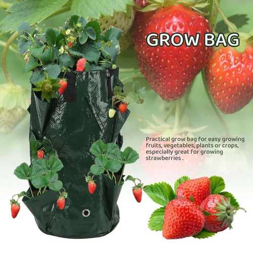 Planting Bags Vertical Growing Wall Hanging Pocket Pot Garden Planter Pouch - Picture 3 of 11