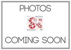 Moldova 2025 Stamp Chineese Zodiac. Year 2025 - Year of Snake MNH