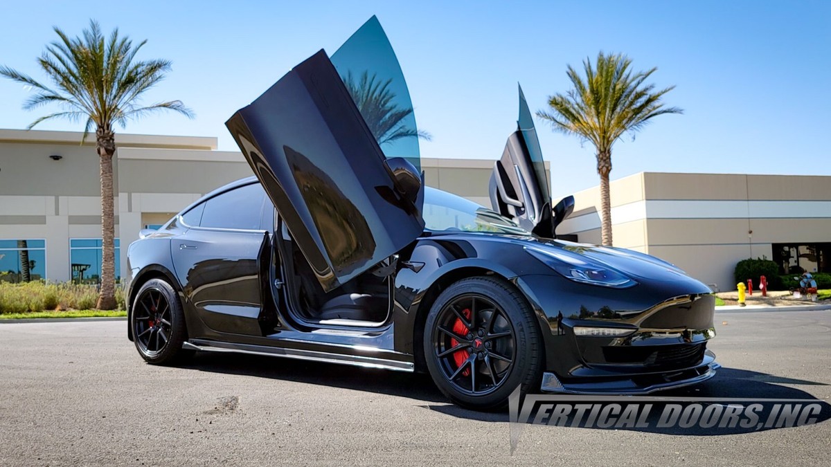 Tesla model sale 3 gullwing doors