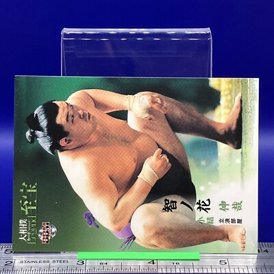 Tomonohana Shinya Sumo Wrestler Trading Card Rikishi BBM TCG