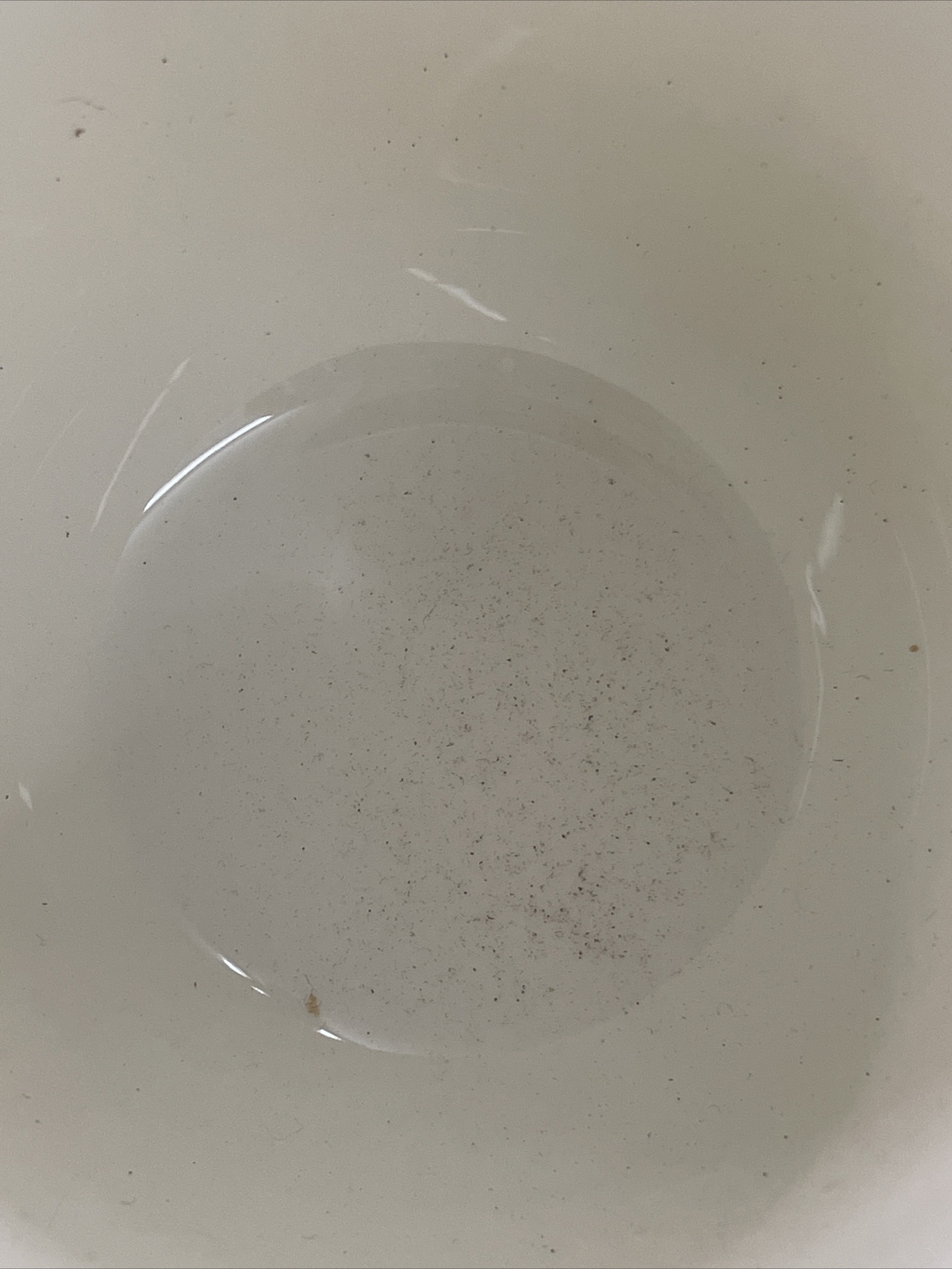 Picture 11 of 14