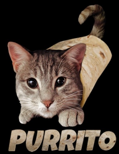 Purrito - Cat Shirt - Kitten - Cat Wrapped in Tortilla - Funny Shirt - Sm - 5X - Picture 2 of 2