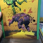 Picture 4 of 19