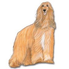 Afghan Hound Magnet Wooden