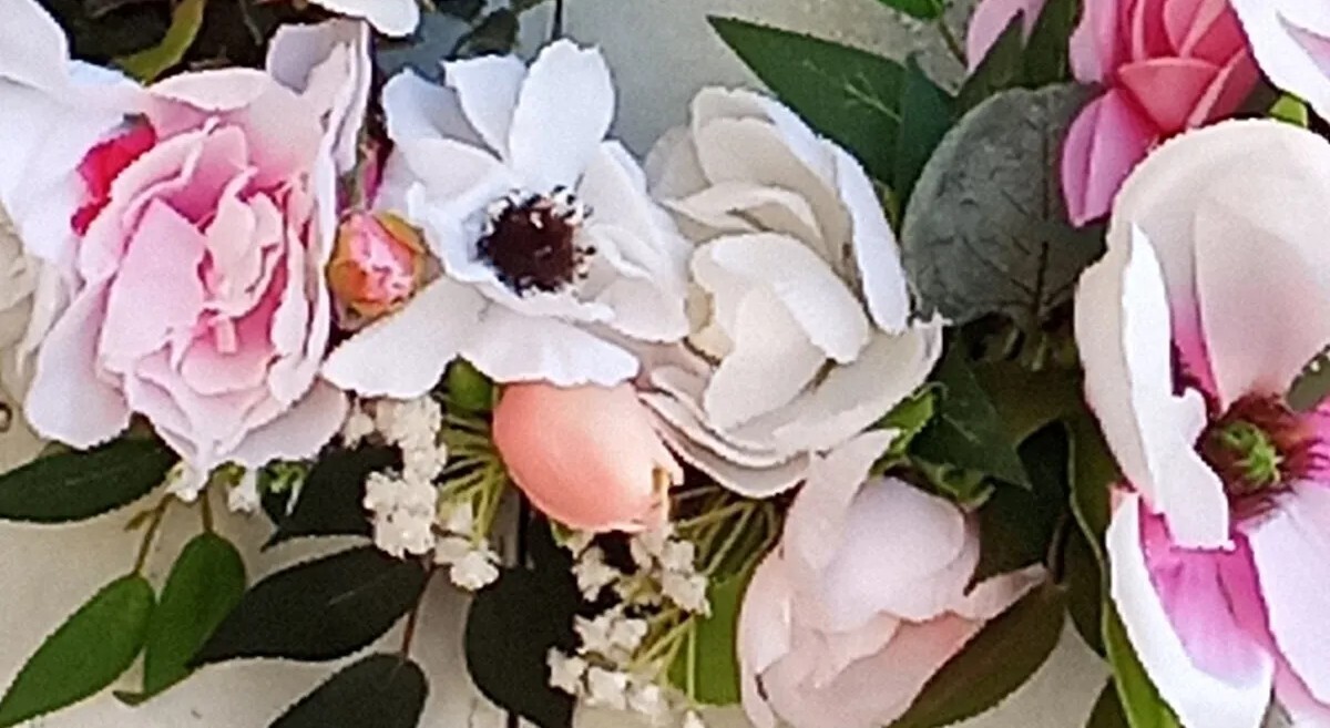 Picture 5 of 11