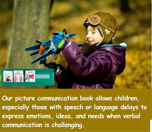 162 ASD Photo Picture Cards - Communication Book for Autism & ADHD Learning - Picture 10 of 11