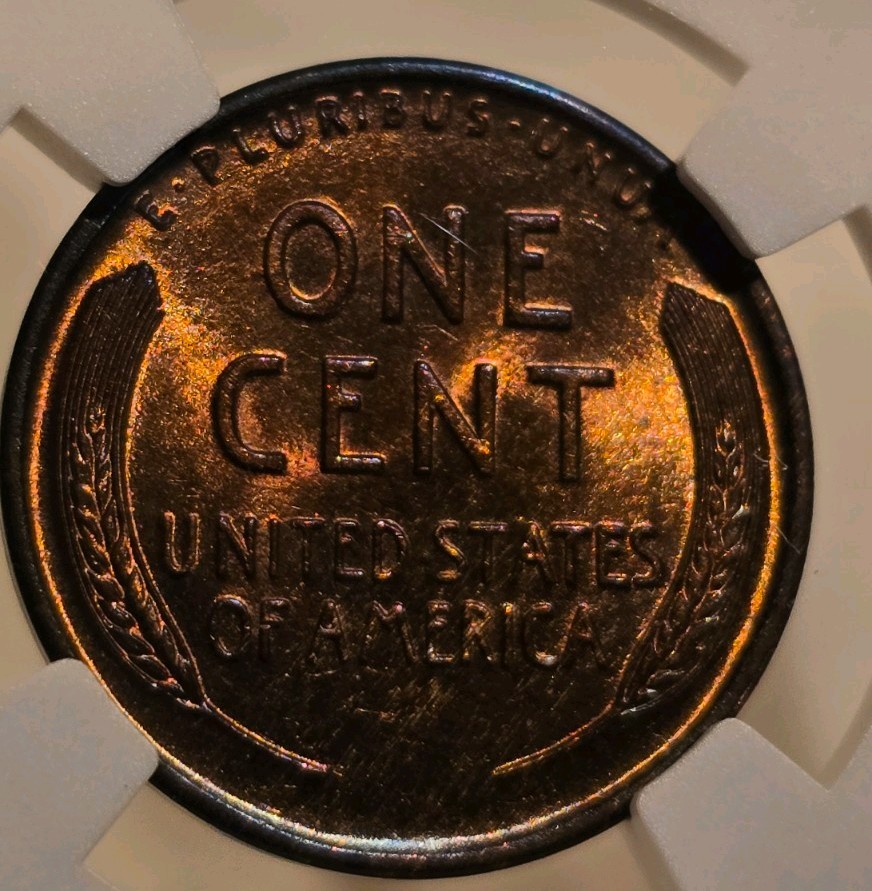 Picture 2 of 5