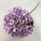 Foto 37 di 37