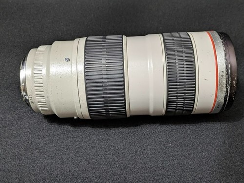 Lente teleobjetivo zoom Canon EF 70-200 mm F/2,8 L USM [Excelente con... - Imagen 17 de 24