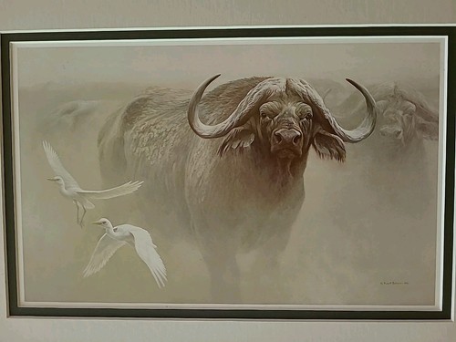 MASTER OF THE HERD Cape Buffalo Safari Robert Bateman Bookplate Auth Barnwood - Picture 5 of 10
