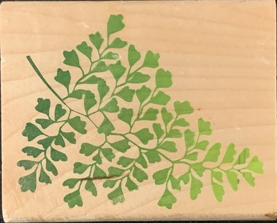 Rubber Stampede Maidenhair Fern Rubber Stamp