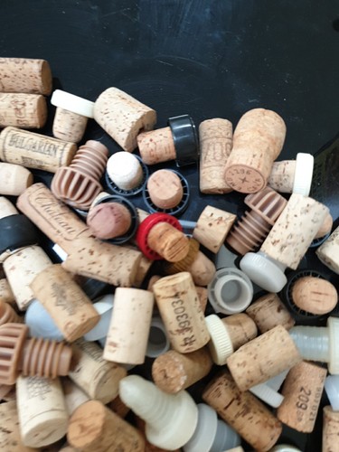 Wine Corks Fermentation  Wine Making - Imagen 7 de 8