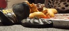 Bild 3 von 7