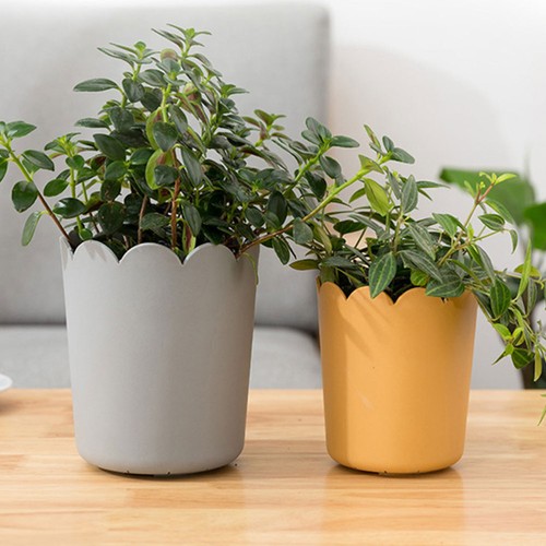 10 Sets Pot De Plantation Jardinière Fleurs En Plein Succulents points de vente Bureau