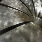 Bild 16 von 24
