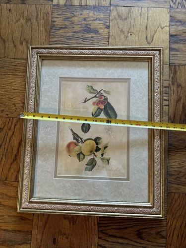 Fabrice De Villeneuve Wild Hawthorinder Apple And Bigarreau Cherry Framed Print - Picture 14 of 14