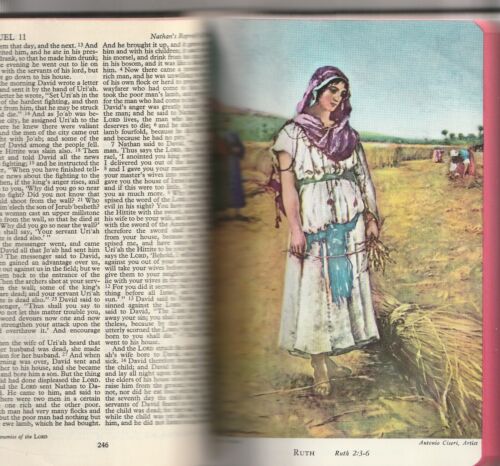 Bibel überarbeitete Standardversion RSV - Bild 2 von 2