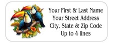 150 Beautiful Toucan Birds Colorful Return Address Labels Personalized Printed