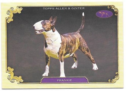 2024 Topps Allen & Ginter Best in Show Westminster Kennel Club Complete Your Set - Picture 30 of 41