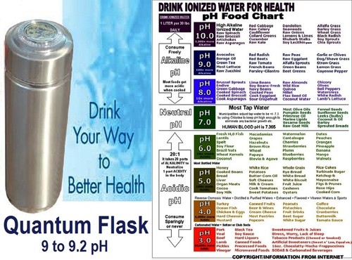 Healthy Life Energy Filter Quantum Flask Alkaline Water Ionizer Bottle RED - Picture 8 of 8