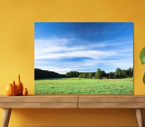 Tranquil Grassland at Sunrise  5mm thick Plastic Poster Ready to Hang 60x45cm - Picture 1 of 3