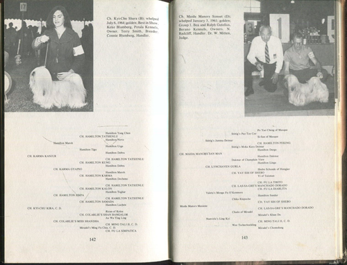 Your Lhasa Apso Robert J. Berndt Dog Book - Imagen 7 de 8