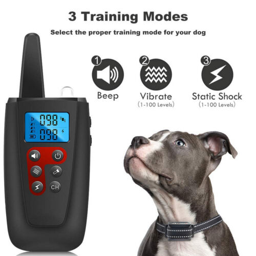 Hund Ausbildung Erziehungshalsband Fernbedienung Training Ton, Vibration, Schock - Bild 4 von 23